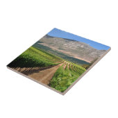 Weinberge des Groot Constantia Anwesen Fliese (Seite)