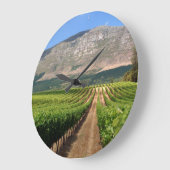 Weinberge des Groot Constantia Anwesen Große Wanduhr (Winkel)