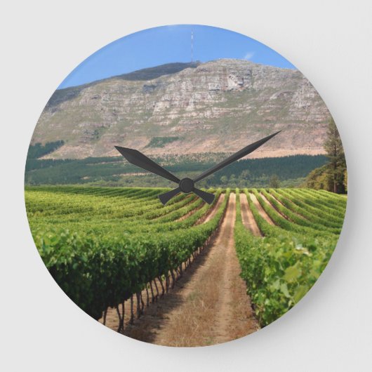 Weinberge des Groot Constantia Anwesen Große Wanduhr (Vorderseite)