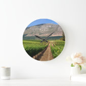 Weinberge des Groot Constantia Anwesen Große Wanduhr (Zuhause)
