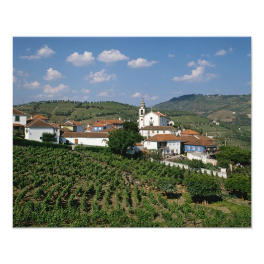 Weinberge, Dorf San Miguel, Douro Fotodruck (Vorne)
