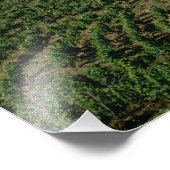 Weinberge, Dorf San Miguel, Douro Fotodruck (Ecke)