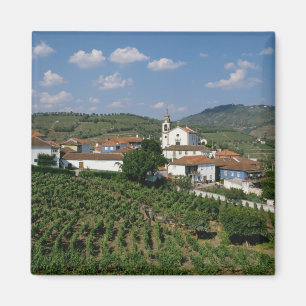 Weinberge, Dorf San Miguel, Douro Magnet