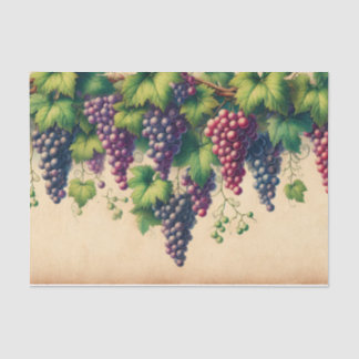 Weinberge - Grenze auf Parchment Seidenpapier