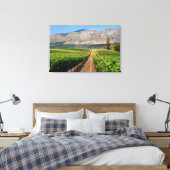 Weinberge Groot Constantia Anwesen Leinwanddruck (Insitu (Schlafzimmer))