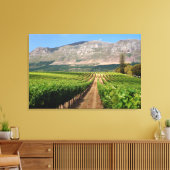 Weinberge Groot Constantia Anwesen Leinwanddruck (Insitu (Wohnzimmer))