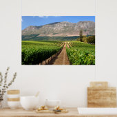Weinberge Groot Constantia Anwesen Poster (Küche)