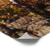 Weinberge im Fall von Mendoza, Argentinien Poster (Ecke)