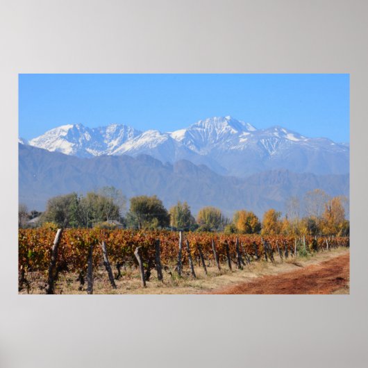 Weinberge im Fall von Mendoza, Argentinien Poster (Vorne)