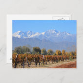 Weinberge im Fall von Mendoza, Argentinien Postkarte (Vorne/Hinten)