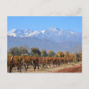 Weinberge im Fall von Mendoza, Argentinien Postkarte