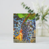 Weinberge im Napa-Tal Postkarte (Stehend Vorderseite)