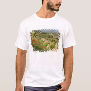 Weinberge in der Nähe von Laguardia, Hauptstadt L T-Shirt
