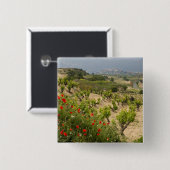 Weinberge in der Nähe von Laguardia, Hauptstadt La Button (Vorne & Hinten)