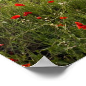 Weinberge in der Nähe von Laguardia, Hauptstadt La Poster (Ecke)