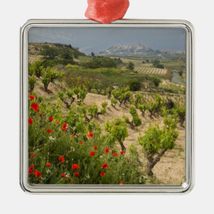 Weinberge in der Nähe von Laguardia, Hauptstadt vo Ornament Aus Metall