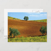 Weinberge in der Nähe von Montilla, Andalusien, Sp Postkarte (Vorne/Hinten)