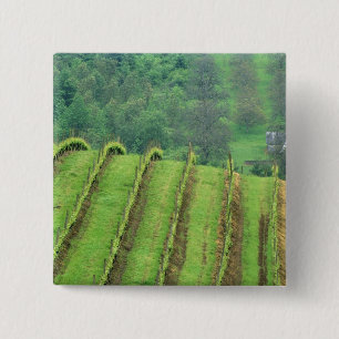 Weinberge in der Nähe von Newberg Oregon Button