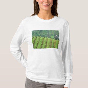 Weinberge in der Nähe von Newberg Oregon T-Shirt