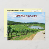 Weinberge in Georgien, USA Postkarte (Vorne/Hinten)