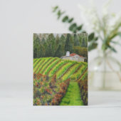 Weinberge in Healdsburg, CA Wasserfarbpostkarte Postkarte (Stehend Vorderseite)