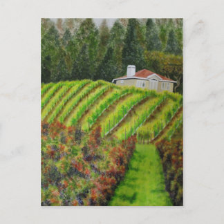 Weinberge in Healdsburg, CA Wasserfarbpostkarte Postkarte