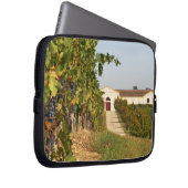 Weinberge, kleine verdot Reben und die Laptopschutzhülle (Vorne Rechts)