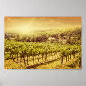 Weinberge Landschaft Poster (Vorne)