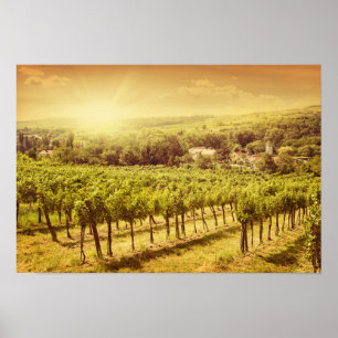 Weinberge Landschaft Poster