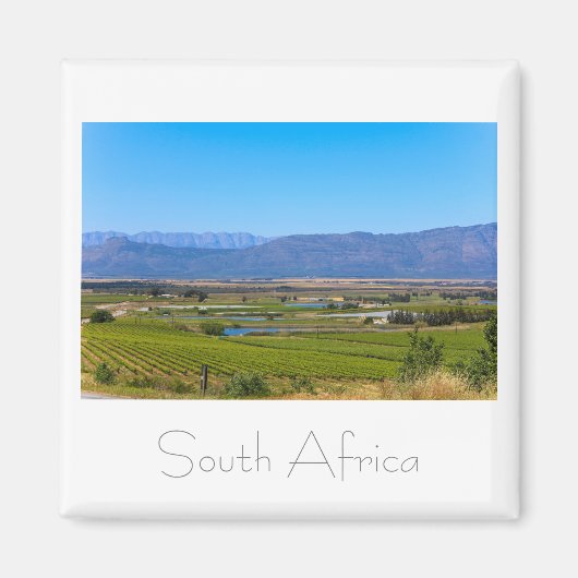 Weinberge Landschaft Südafrika SA Magnet (Vorne)