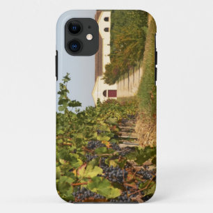 Weinberge, Petit Verdot-Reben und das Weingut in Case-Mate iPhone Hülle