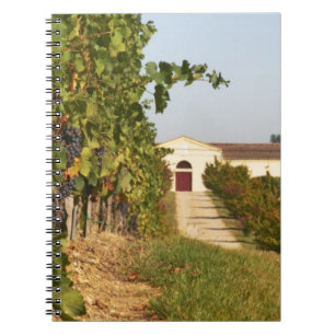 Weinberge, Petit Verdot-Reben und das Weingut in Notizblock
