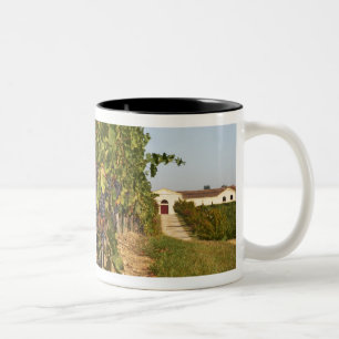 Weinberge, Petit Verdot-Reben und das Weingut in Zweifarbige Tasse