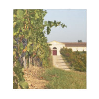Weinberge, Petit verdot und Weinkeller in