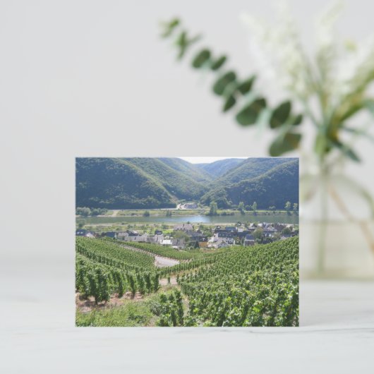 Weinberge Postkarte (Stehend Vorderseite)