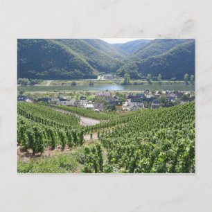 Weinberge Postkarte