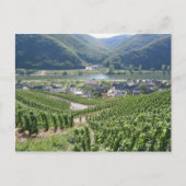 Weinberge Postkarte (Vorderseite)