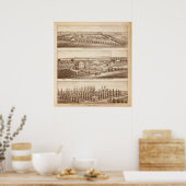 Weinberge, Ranche, Tulare Co, Kalifornien Poster (Küche)