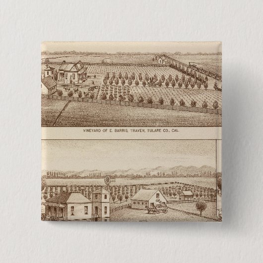 Weinberge, Ranches, Tulare Co, Kalifornien Button (Vorderseite)