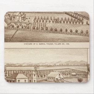 Weinberge, Ranches, Tulare Co, Kalifornien Mousepad