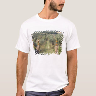 Weinberge, Toskana, Italien T-Shirt
