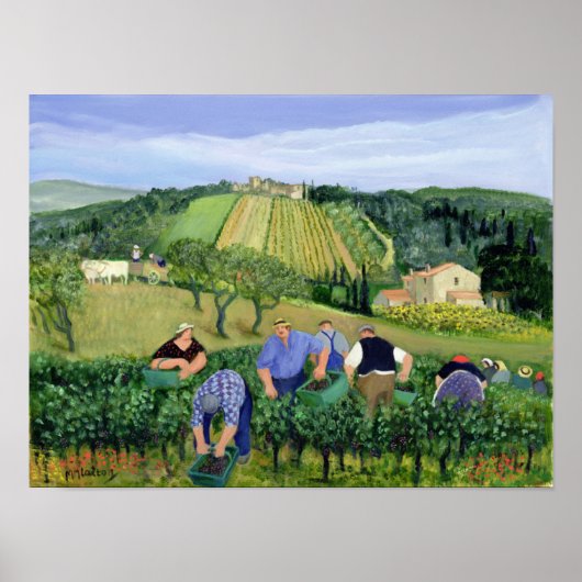 Weinberge und Sonnenblumen Poster (Vorne)
