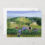 Weinberge und Sonnenblumen Postkarte (Vorne/Hinten)