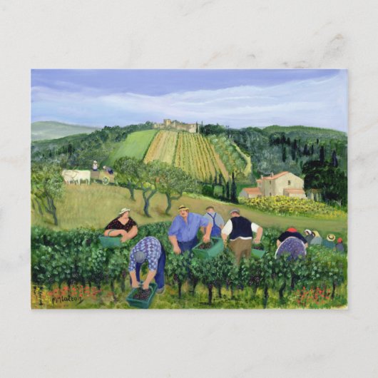 Weinberge und Sonnenblumen Postkarte (Vorderseite)