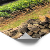 Weinberge von St. Emillion Poster (Ecke)