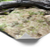 Weinberge Weintrauben Poster (Ecke)