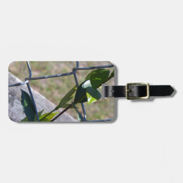 Weine auf einem Kettenzaun finden Leben einen Weg Gepäckanhänger