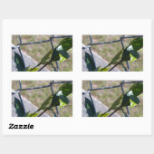 Weine auf einem Kettenzaun finden Leben einen Weg Rechteckiger Aufkleber (Blatt)