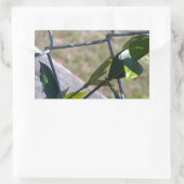 Weine auf einem Kettenzaun finden Leben einen Weg Rechteckiger Aufkleber (Tasche)