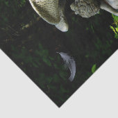 Weinen Seidenpapier (Ausschnitt)